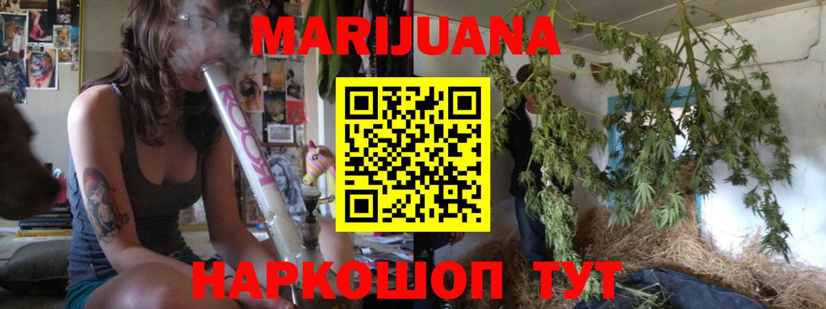 Шишки марихуана планчик  Шишки марихуана конопля  Гусь-Хрустальный  МАРИХУАНА индика  Вход с VPN 
